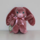 MyTeddy rosa kanin bamse med navn på. 28 cm