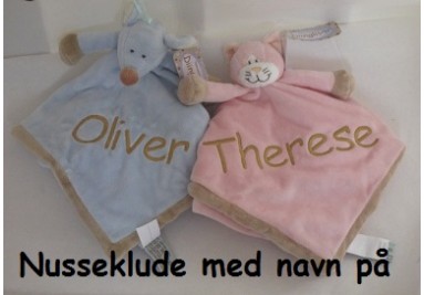 Nussklude dingliisar